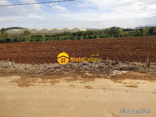 Bán đất thổ cư 5x34 view đẹp xã tân hội,lâm đồng chỉ 580 triệu sổ hồng riêng