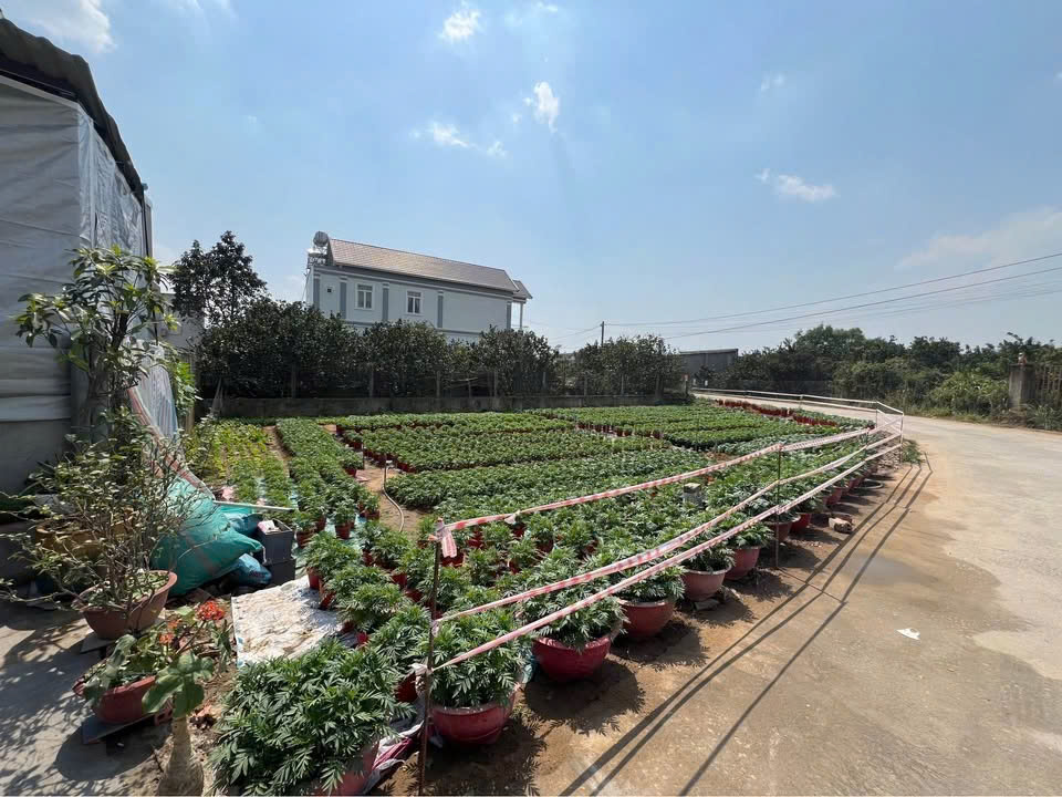 CHÍNH CHỦ Bán hai lô đất măt tiền đường Bến Đôi, Đồng Nai