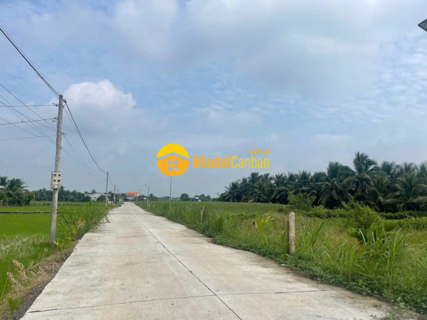 Bán nền thổ 5x23 mt bê tông 6m cách nhựa cao thị mai 300m thuộc xã tân trụ tỉnh tây ninh