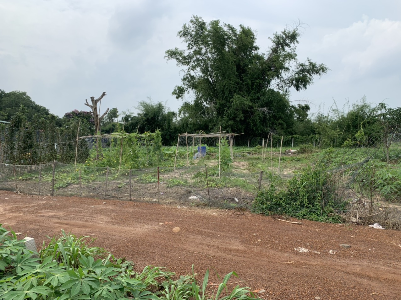 [CHÍNHCHỦ] Cần bán đất, Bà Rịa-Vũng Tàu;1,3triệu/m2(1000m2)